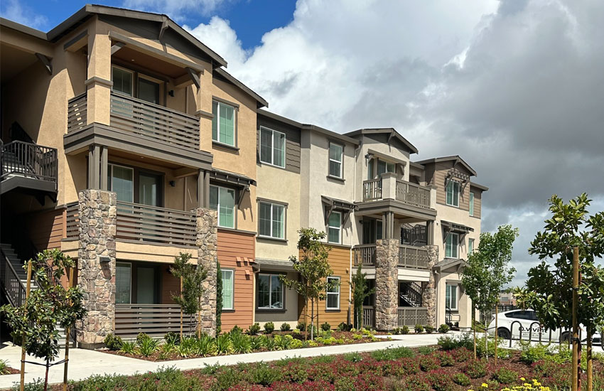 Blossoms at Brentwood